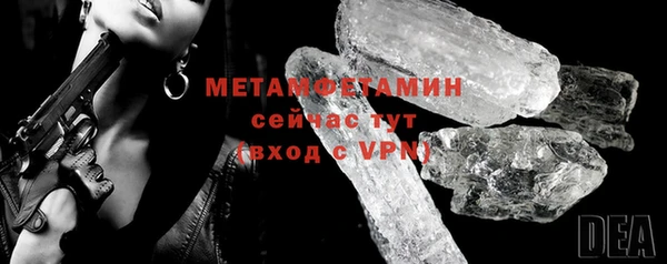 прущие грибы Беломорск