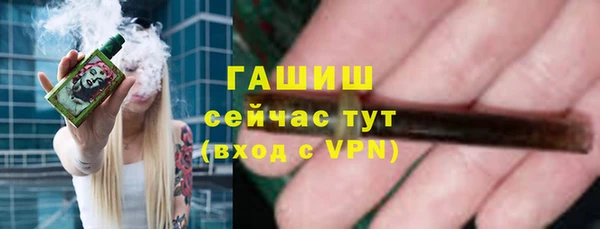 прущие грибы Беломорск