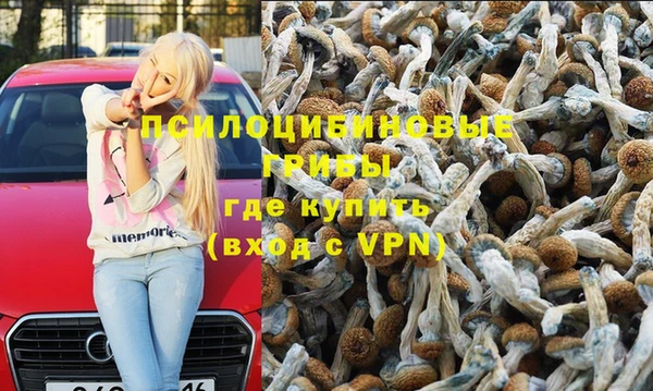 прущая мука Белокуриха