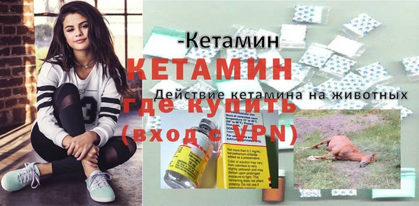 прущие грибы Беломорск
