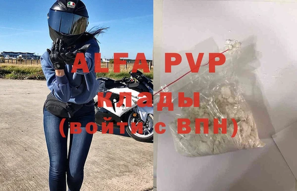 прущие грибы Беломорск