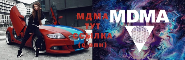 прущие грибы Беломорск