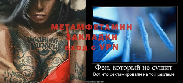 прущие грибы Беломорск