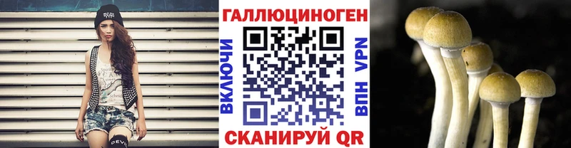 Псилоцибиновые грибы GOLDEN TEACHER  Усть-Лабинск 
