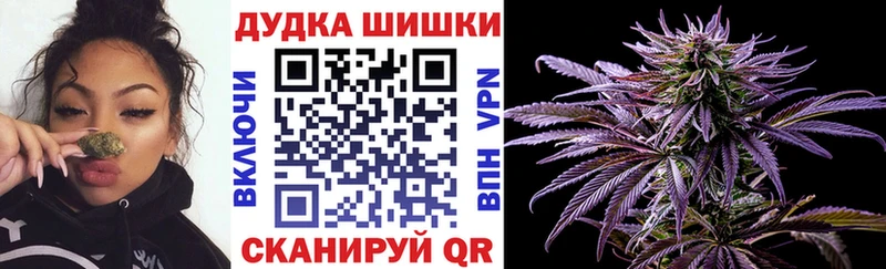 Бошки Шишки марихуана  купить  цена  Усть-Лабинск 